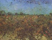 The Green Vineyard (nn04) Vincent Van Gogh